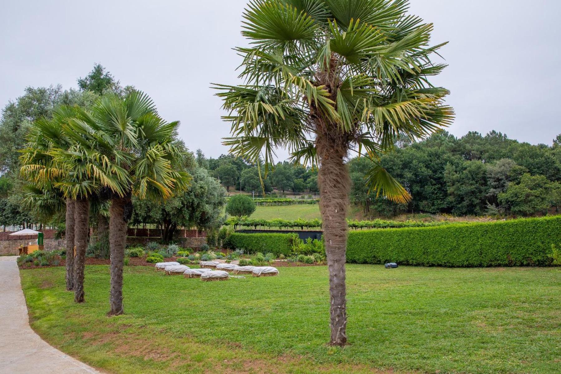 Casa Con Encanto Merza エクステリア 写真